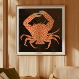 Affiche Spotted Calico Crab - 50 x 50 cm | Fleux | 6
