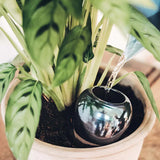 Diffuseur d'eau naturel Olla | Fleux | 55