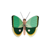 Fern Striped Butterfly Wall Decor Made From Recycled Cardboard | Fleux | 4