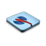 Fishkoi Square Pocket Tray | Fleux | 3