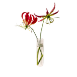 Vase Mural XL | Fleux | 4