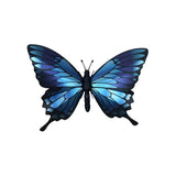 Origami Papilio Ulysses Trophy | Fleux | 3