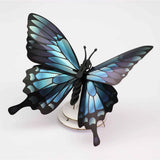 Origami Papilio Ulysses Trophy | Fleux | 4