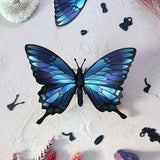 Origami Papilio Ulysses Trophy | Fleux | 5
