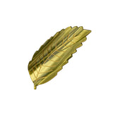 Pince Feuille de Châtaignier | Fleux | 8