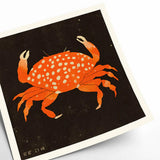 Poster Enikő Eged - Spotted Crab - 50 x 50 cm | Fleux | 3