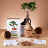 Kit Grow It Bonsai | Fleux | 6