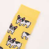 Chaussettes Bouledogue Opaques - Jaune | Fleux | 5