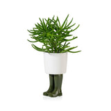 Pot / Jardinière Wellington Petit - Vert | Fleux | 4