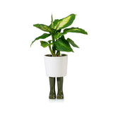 Pot / Jardinière Wellington Petit - Vert | Fleux | 3