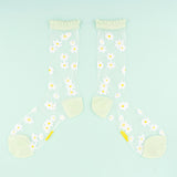 Transparent Socks 35/40 - Daisies | Fleux | 4