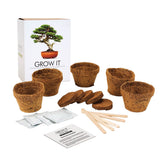 Kit Grow It Bonsai | Fleux | 5