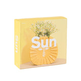sun vase | Fleux | 5
